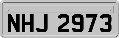 NHJ2973