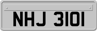 NHJ3101