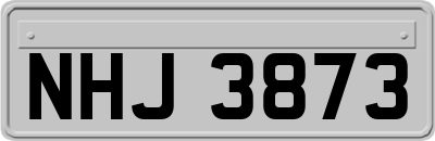 NHJ3873