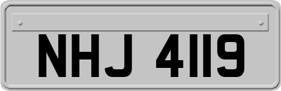 NHJ4119