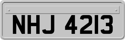 NHJ4213
