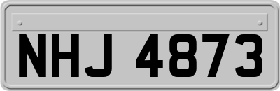 NHJ4873