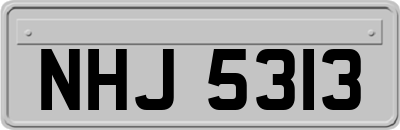 NHJ5313