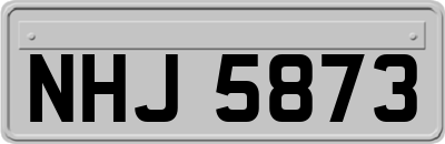 NHJ5873