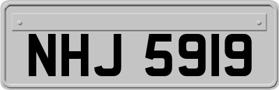 NHJ5919