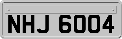 NHJ6004