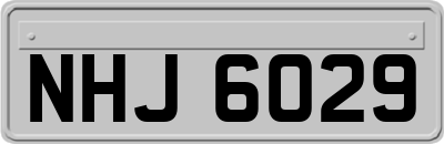 NHJ6029