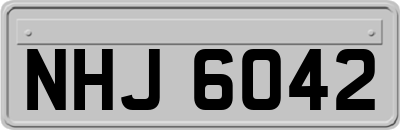 NHJ6042