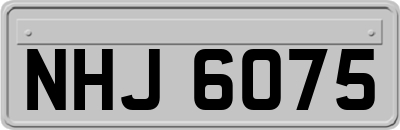 NHJ6075