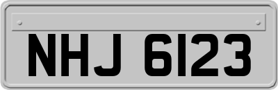NHJ6123