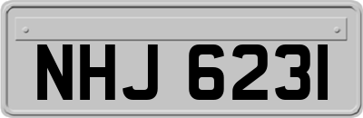 NHJ6231