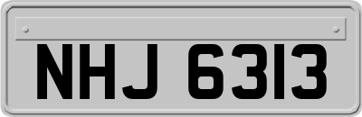 NHJ6313