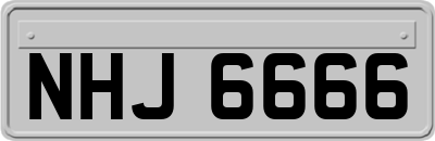 NHJ6666