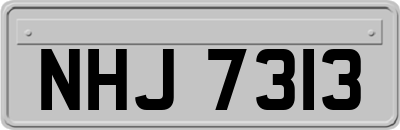 NHJ7313