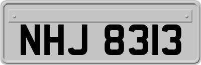 NHJ8313