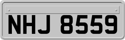 NHJ8559