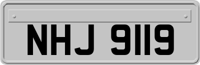 NHJ9119