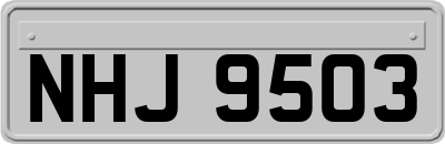 NHJ9503
