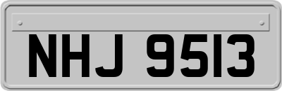 NHJ9513