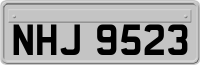 NHJ9523