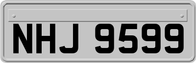 NHJ9599