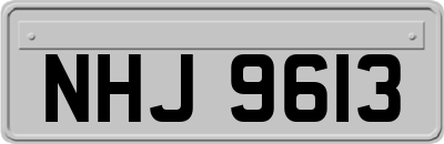 NHJ9613