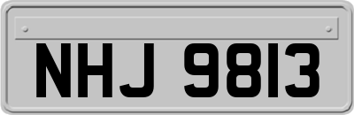 NHJ9813