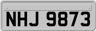 NHJ9873