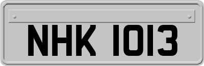 NHK1013