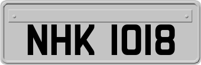 NHK1018