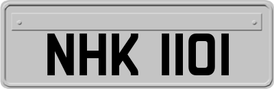 NHK1101
