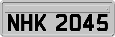 NHK2045