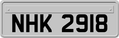 NHK2918