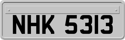 NHK5313