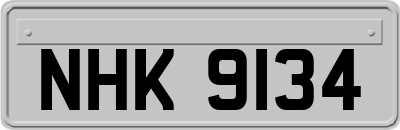 NHK9134
