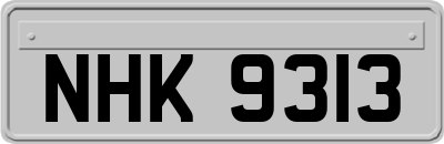NHK9313