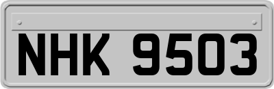 NHK9503
