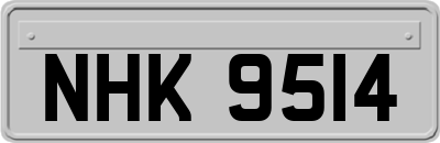 NHK9514