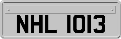 NHL1013