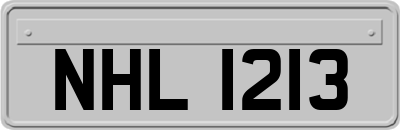 NHL1213