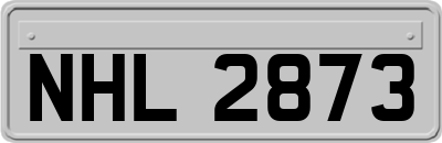 NHL2873