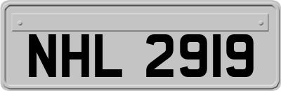 NHL2919