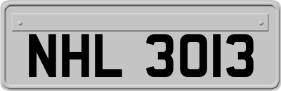 NHL3013