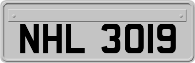 NHL3019