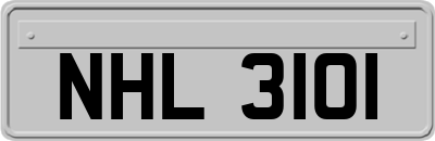 NHL3101