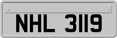 NHL3119