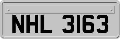 NHL3163