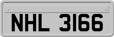NHL3166