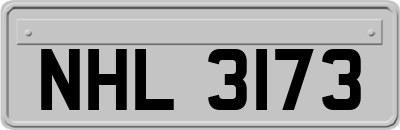 NHL3173