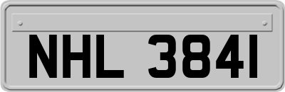 NHL3841